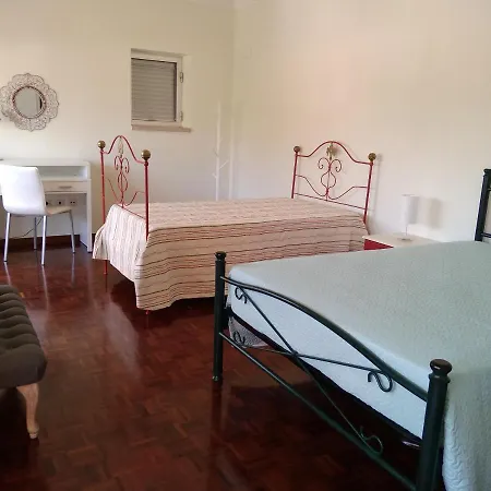 Апартаменты O Terraco Da Ribeira